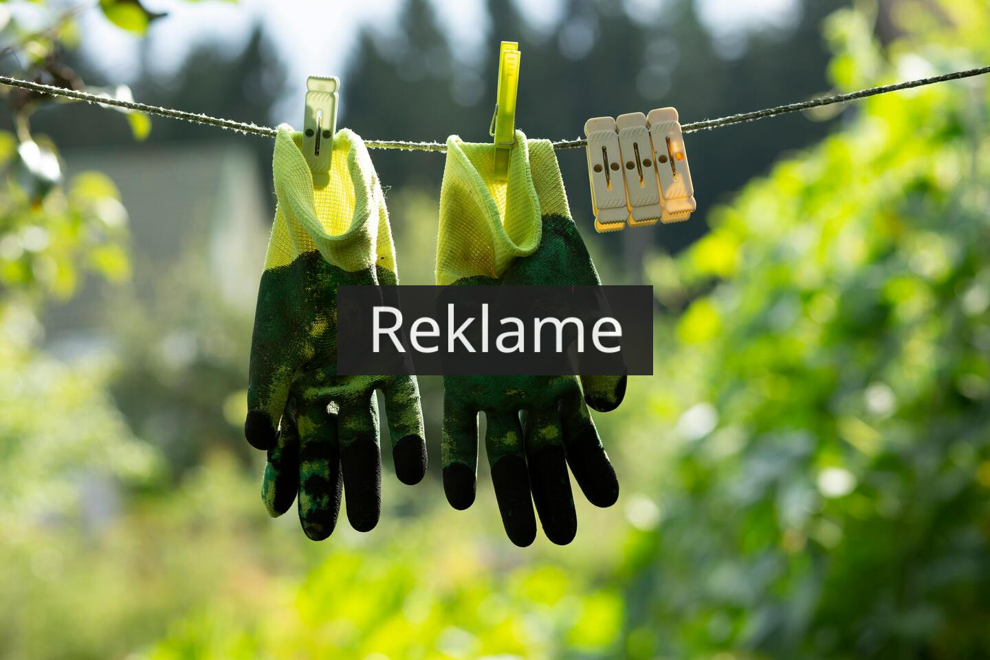 Professionel haveservice i Aalborg